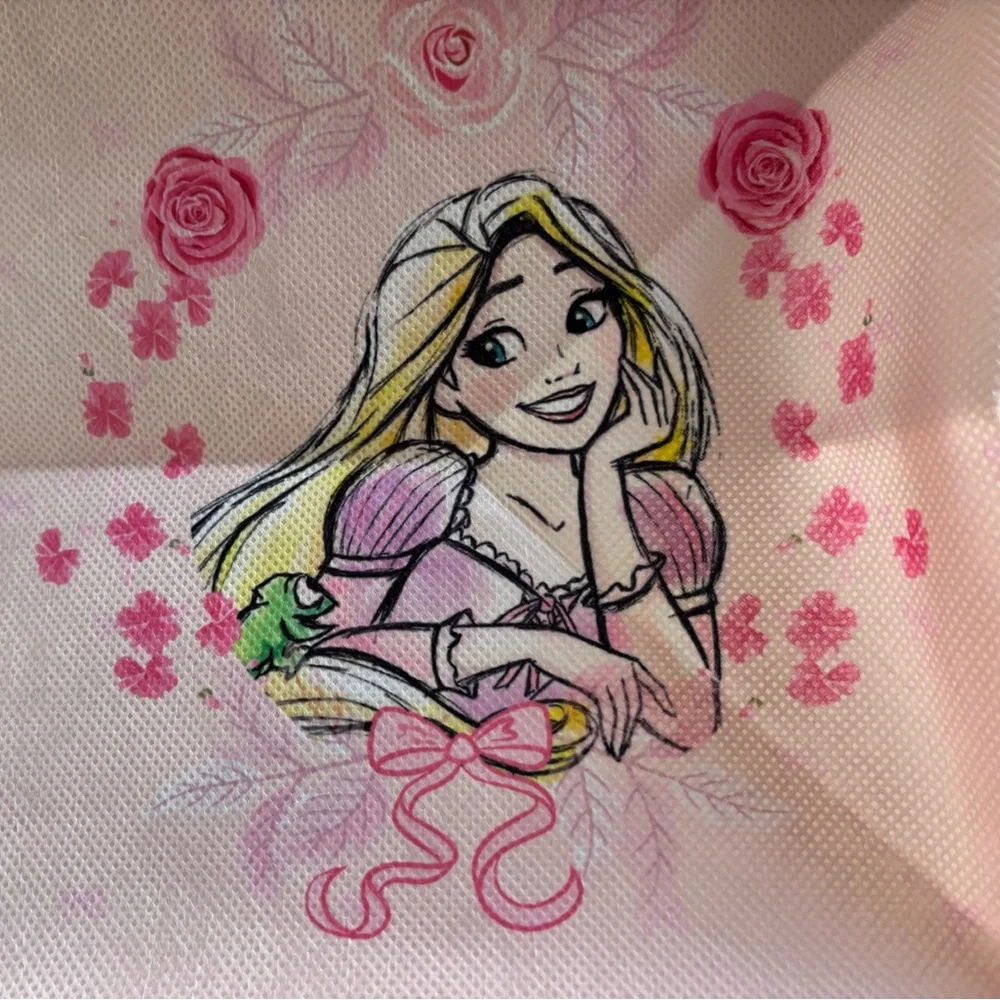 Disney Princess 6-Shelf Hanging Closet Organizer